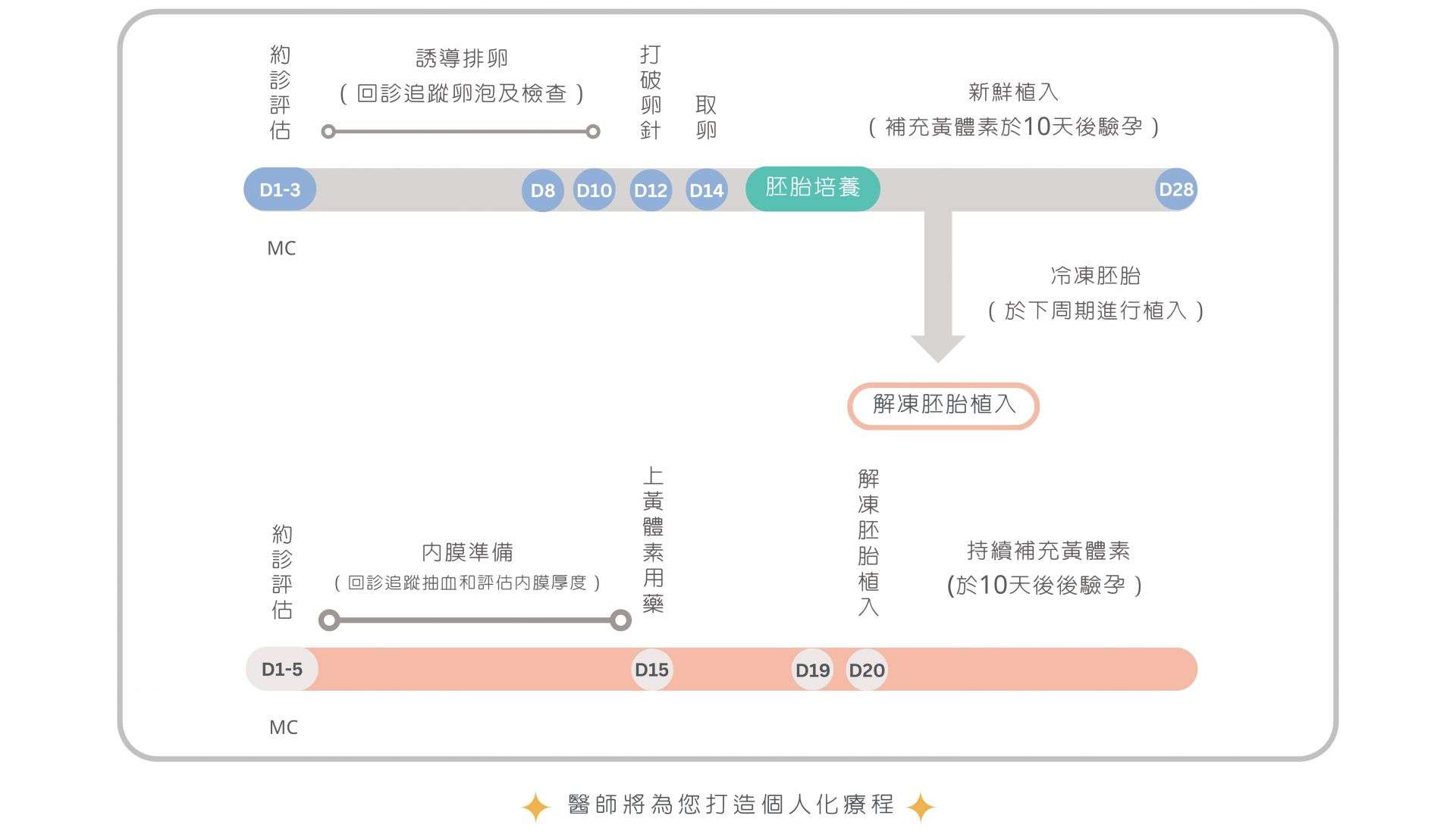 IVF治療の流れ