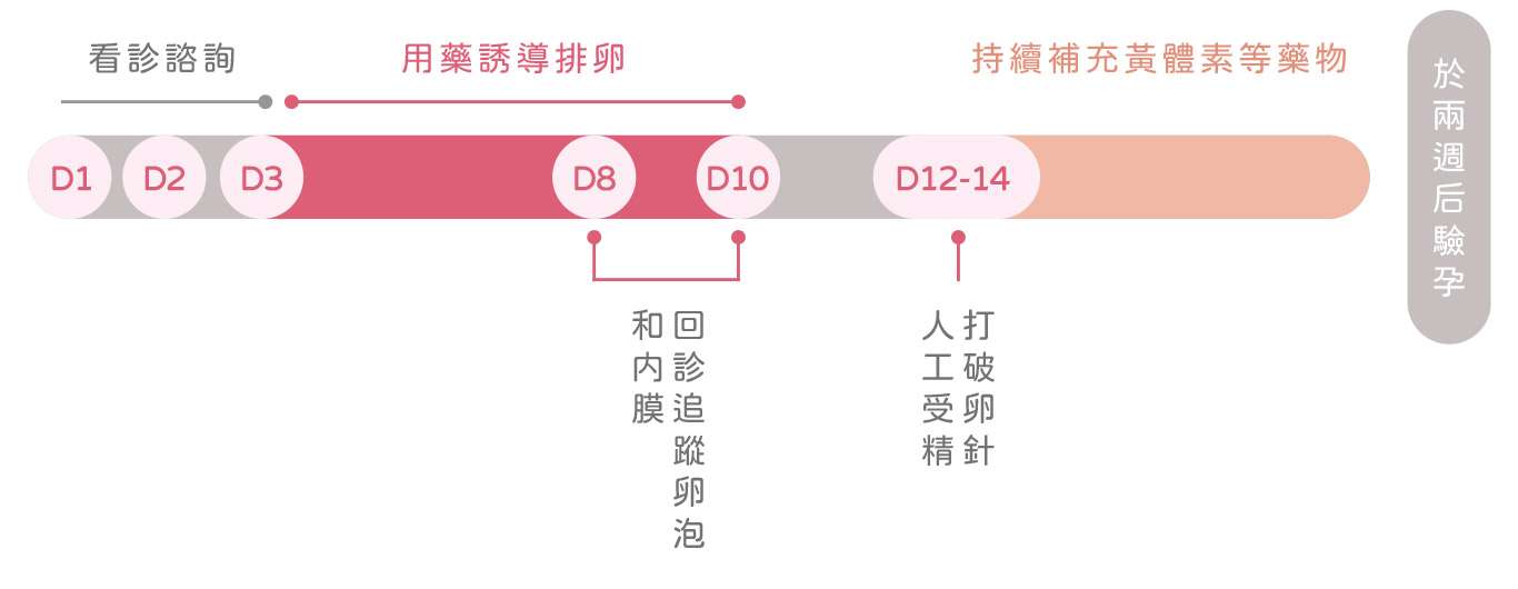 IUI治療の流れ