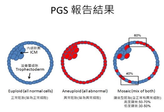 PGS／PGT-Aの検査方法