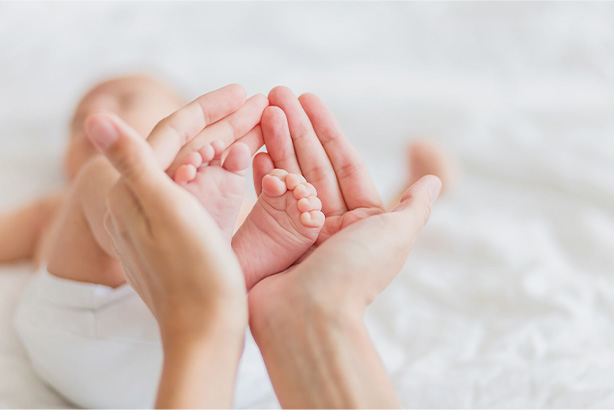 桃園でのIVF・体外受精治療：流れ・費用 ・クリニック選びをわかりやすく解説